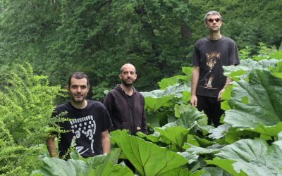 Entre el cuerpo y el cerebro: “Ganbare”, el nuevo disco de Lujo Asiático