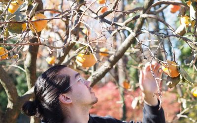 Ensoñación y escape a la rutina en «Take More», lo nuevo de yllwblly